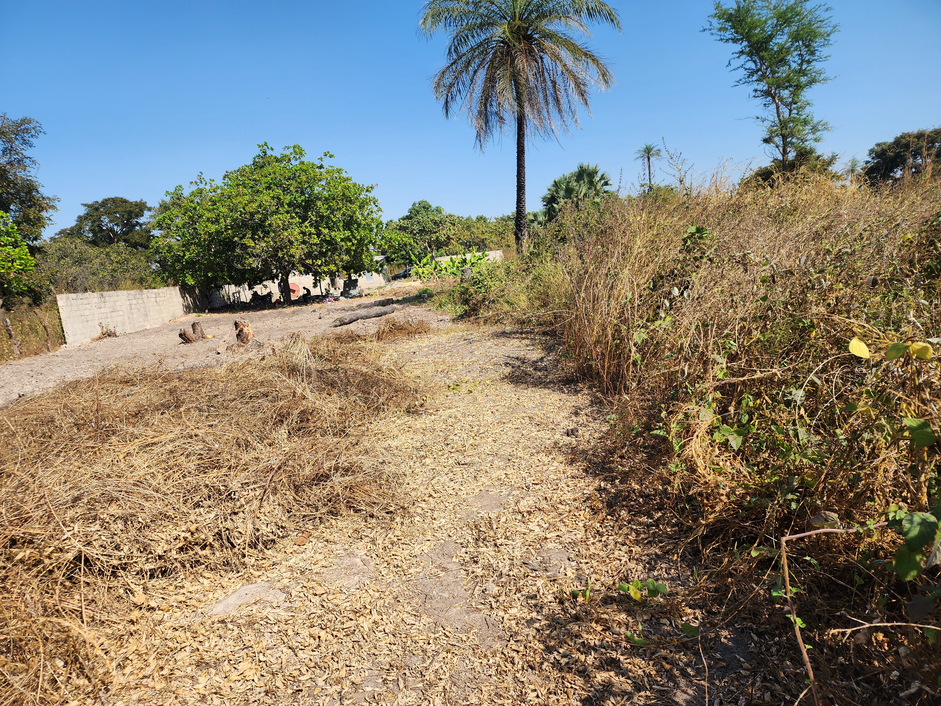Image 10